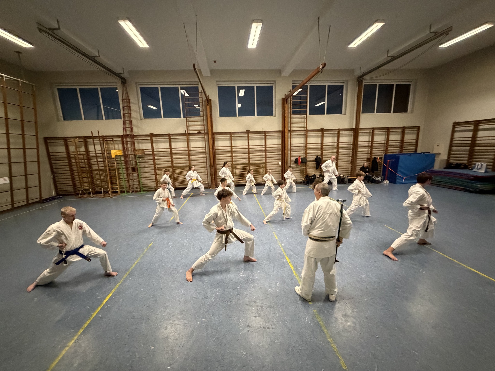 Training Sensei Sawada