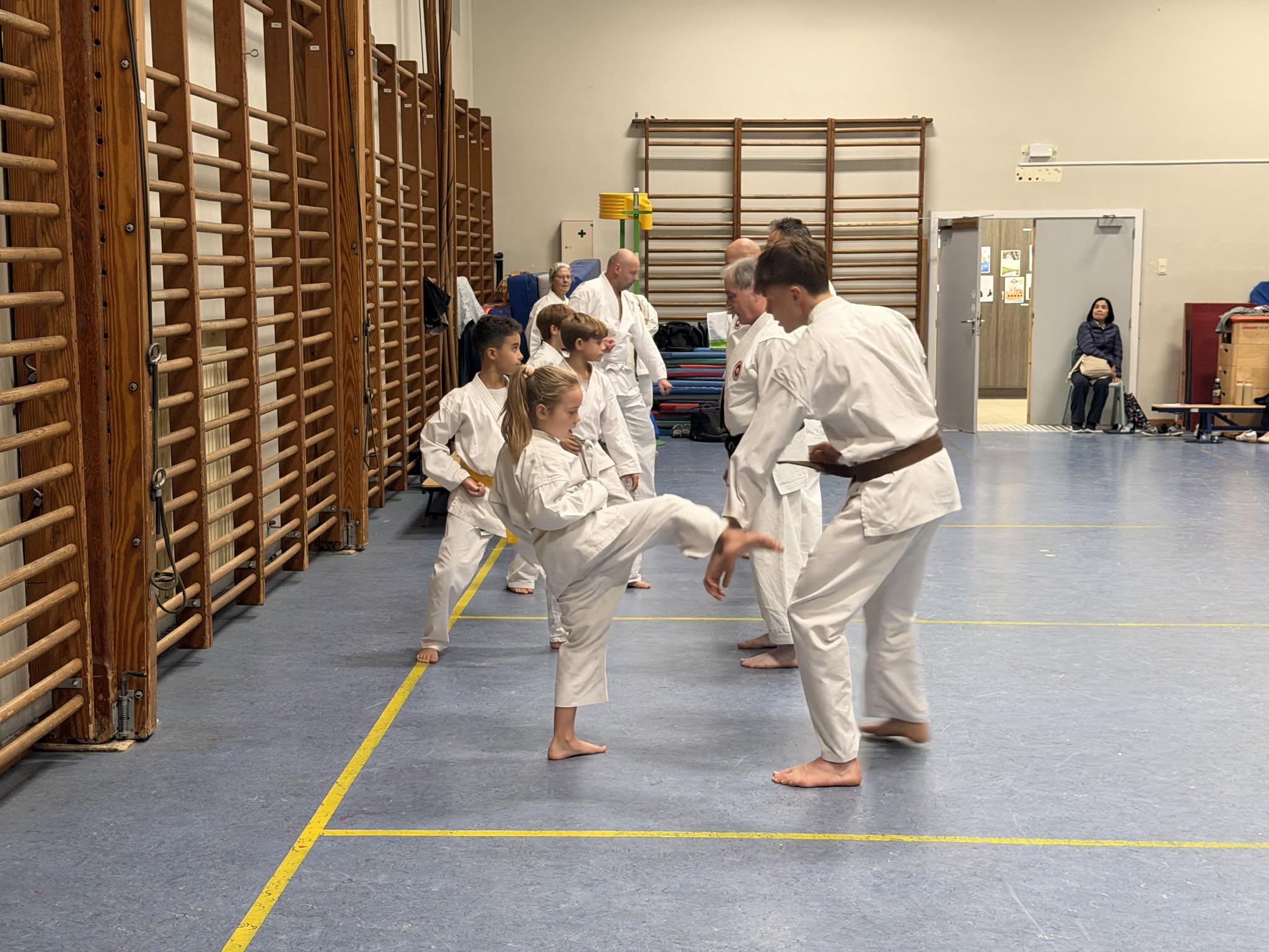 Sawada sensei